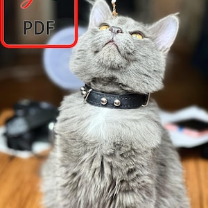 Padrão digital de coleira de couro para gatos _ Coleira ajustável DIY para gatos e gatinhos _ Download em PDF _ Modelo digital _ Impressão em tamanho A4