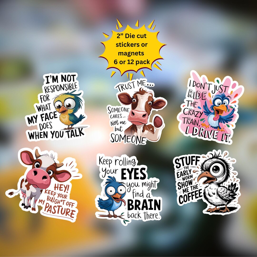 Funny Sarcastic Sticker & Magnet Pack: 2