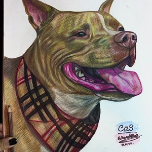 affordable pet portraits!