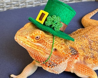 St Patrick’s Day Hat