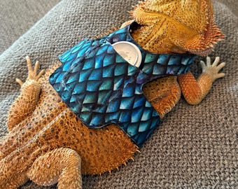 Dragon Tracker Jacket (AirTag not included).