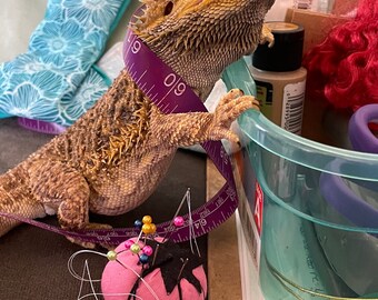 Custom Reptile Costume and Accessories