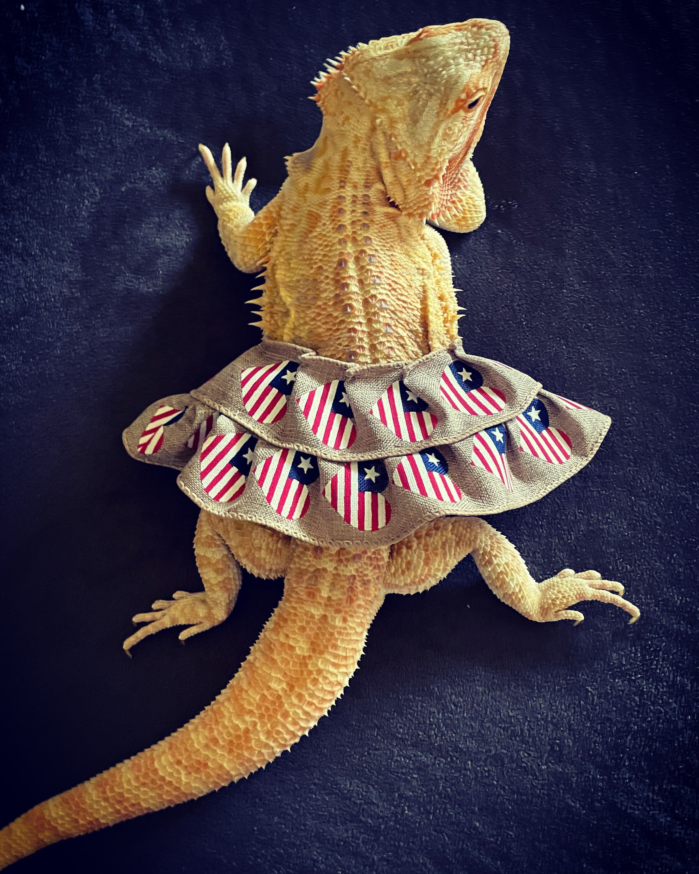 Süßer Kleiner Drache Rüschenrock | Etsy