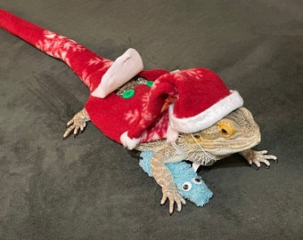 Sleepy Snuggles waiting for Beardie Claus