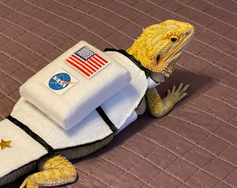 Może przedstawiać: Żółty brodaty smok w białym kostiumie astronauty z logo NASA i naszywką amerykańskiej flagi. Kostium ma czarne wykończenie i gwiazdę z przodu.