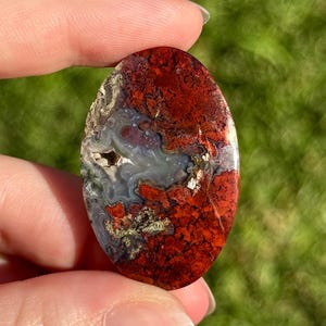 May include: An oval gemstone featuring a blend of deep red, grey, and white colours. The stone has a textured surface, with areas of rich red contrasting against lighter shades. The gemstone is held between fingers, showcasing its natural beauty.