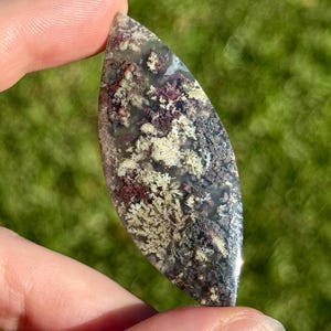 May include: A polished, teardrop-shaped gemstone with a unique pattern. The stone features a mix of colours, including white, burgundy, and dark grey, creating a natural, textured appearance. The gemstone is held against a blurred green background.
