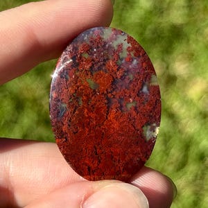 May include: Oval gemstone with a polished surface. The stone displays a vibrant mix of red, brown, and green hues, with a textured, organic pattern. The gemstone is held between fingers against a blurred green background.