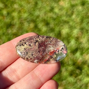 May include: An oval gemstone with a distinctive pattern of red, brown, yellow, and white inclusions. The polished stone is held in a hand, with a blurred green background.