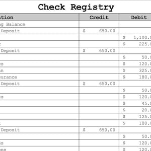 Checkwrite Table Check Register Edit in Excel - Etsy