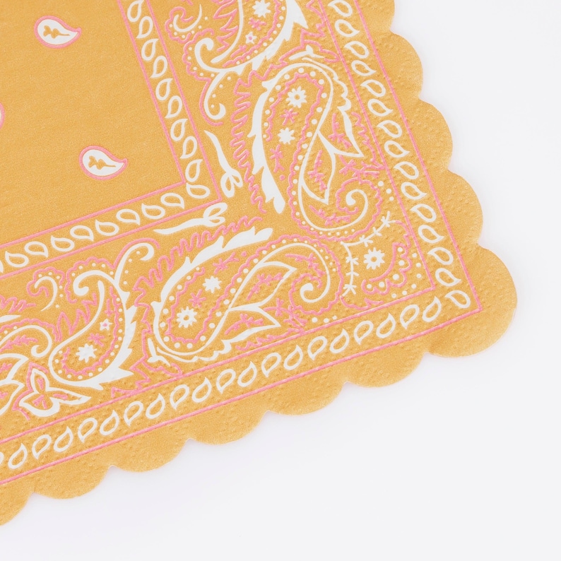 Meri Meri Western Bandana Napkins - Thumbnail 3