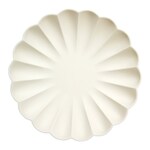 Biodegradable Plates