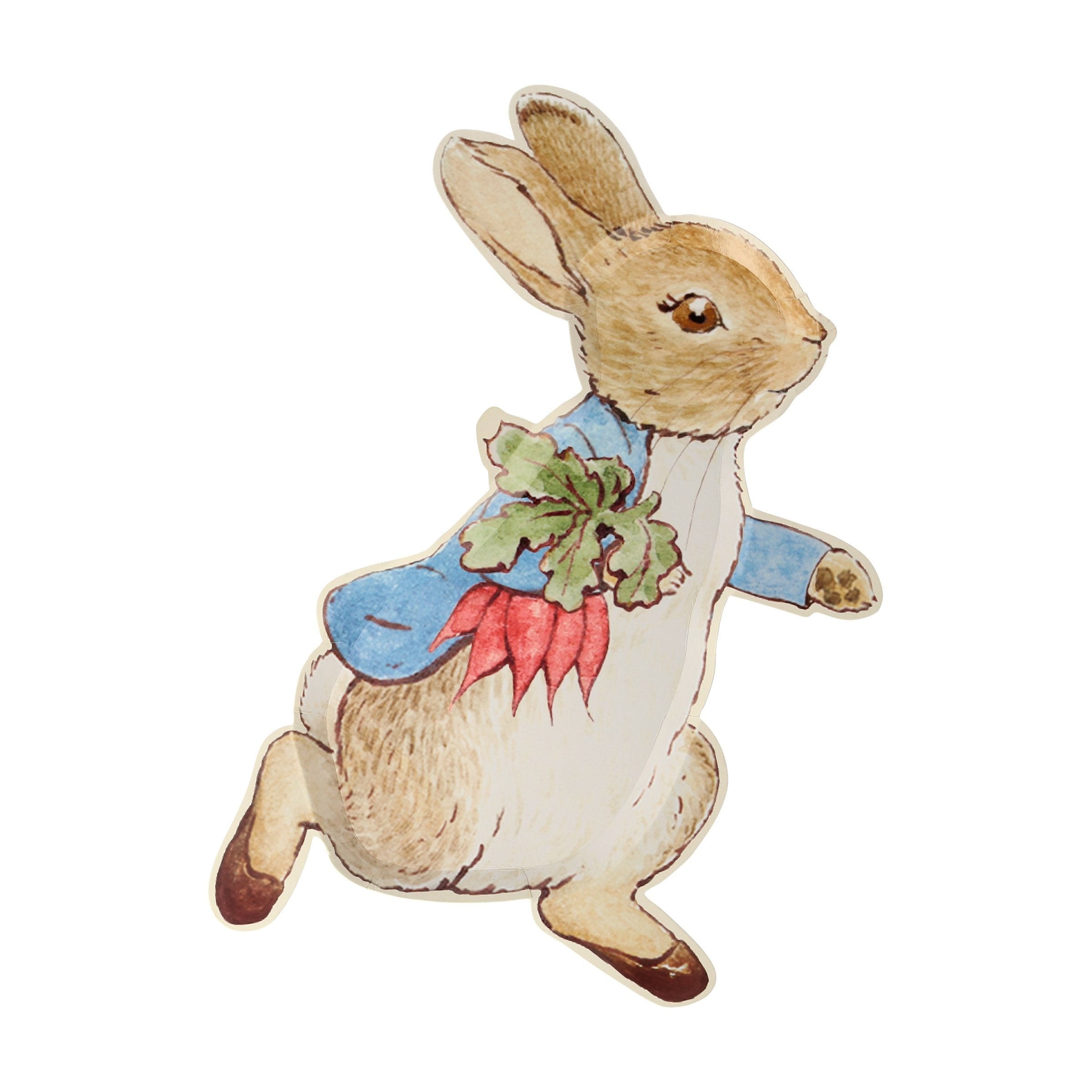 Peter Rabbit Plates x 12