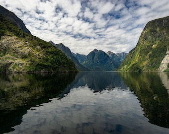 Zweifelhafter Sound im wilden Neuseeland - Digitaldruck