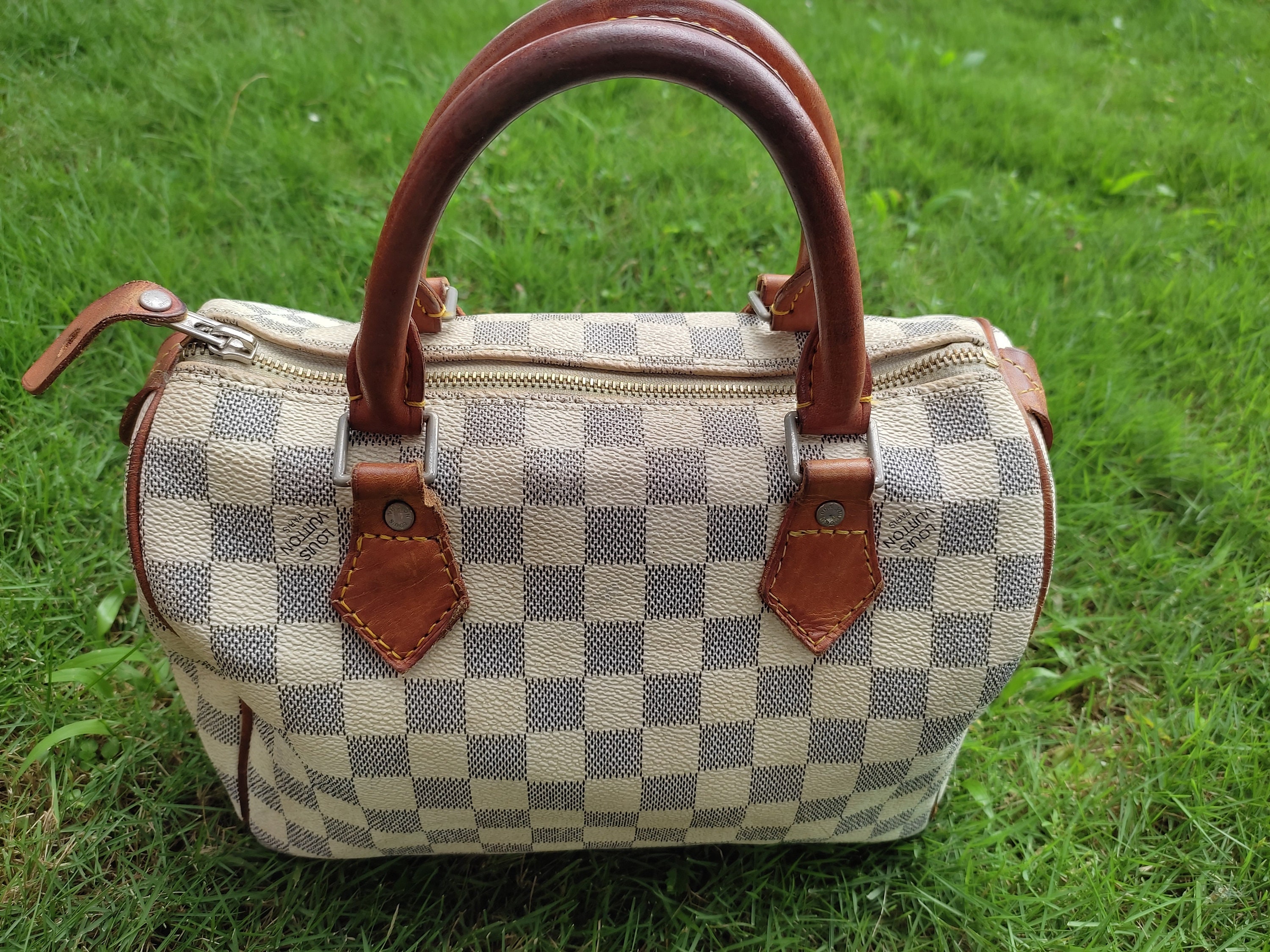 LOUIS VUITTON Damier Ebene Mini Speedy Hand Bag SP Order LV Auth