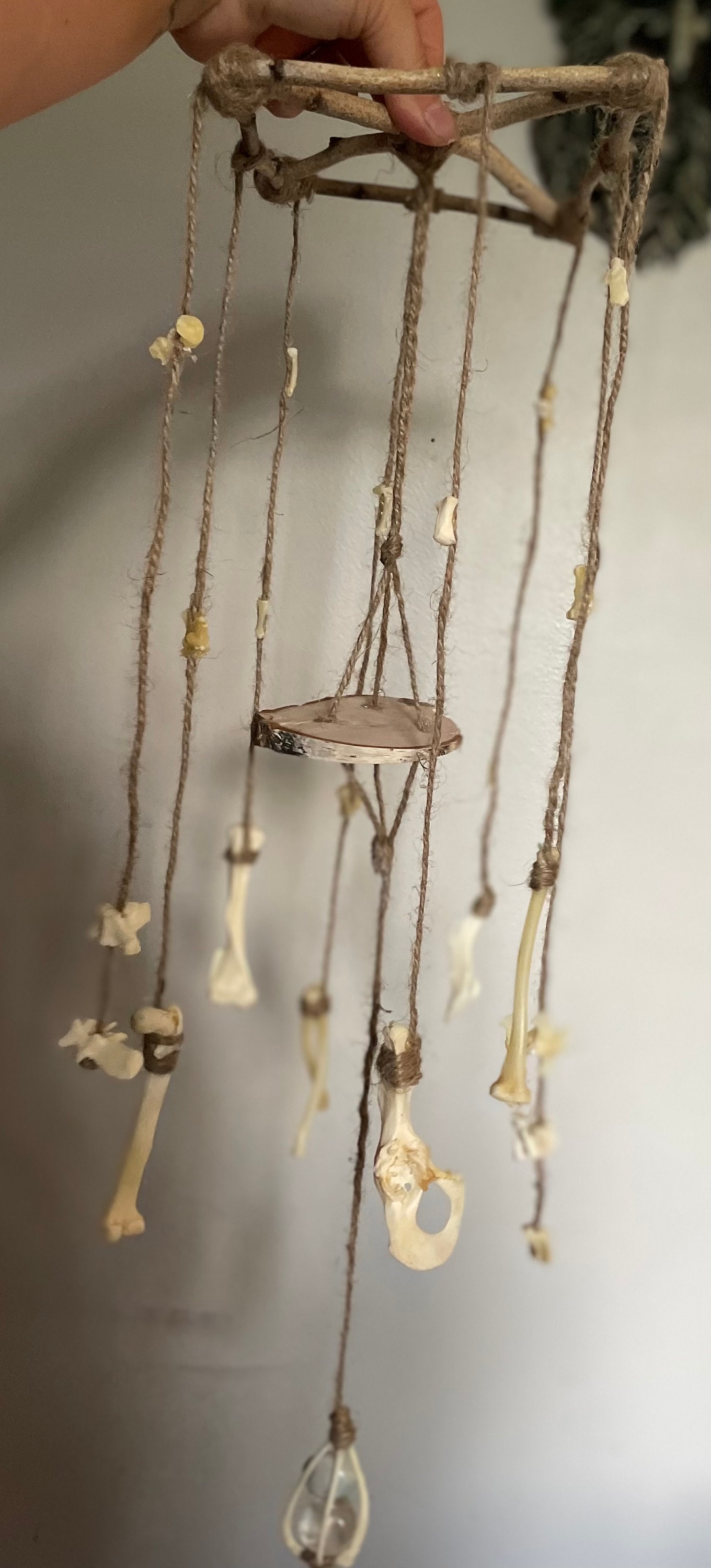Bone Art Windchime Etsy