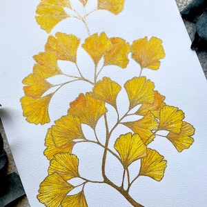 Könnte beinhalten: Ein Aquarellgemälde von Ginkgoblättern in Gelb- und Goldtönen. Die Blätter sind auf zarten braunen Stielen vor einem weißen Hintergrund angeordnet. Das Kunstwerk fängt die komplizierten Details der Blätter ein.