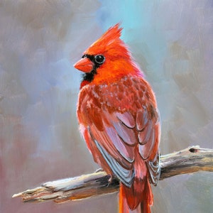 Cardinal bird ORIGINAL oil painting, Northern cardinal art, Realistic red cardinal Framed birds painting Woldlife animal art Little red bird