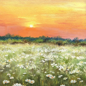 White daisies fields ORIGINAL painting, Wildflower meadow springtime, Afternoon sunlight realistic landscape, Flower grassland kitchen decor