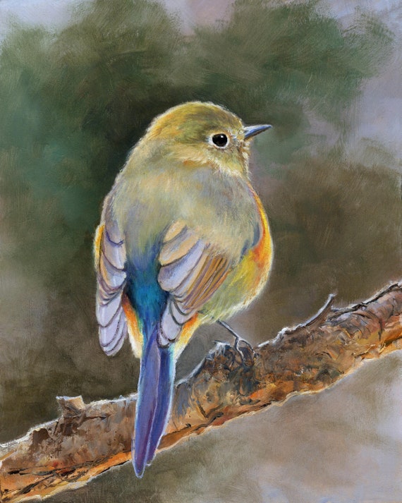 Bird ORIGINAL painting framed, Cute bird realistic art, Vintage oil painting cottage decor, Colorful bird, Wildlife  Ornithology wall art