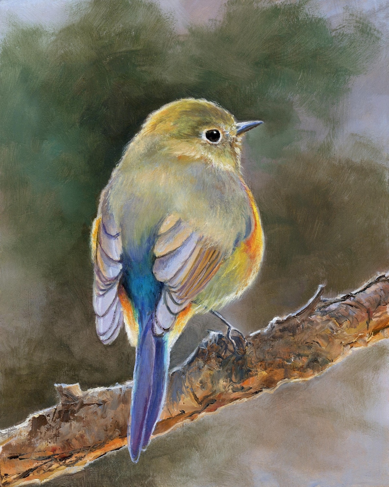 May include: A painting of a small bird perched on a textured brown branch. The bird features olive-green plumage on its head and back, with vibrant blue and orange feathers on its wings and tail. It has a dark eye and a small, pointed beak.