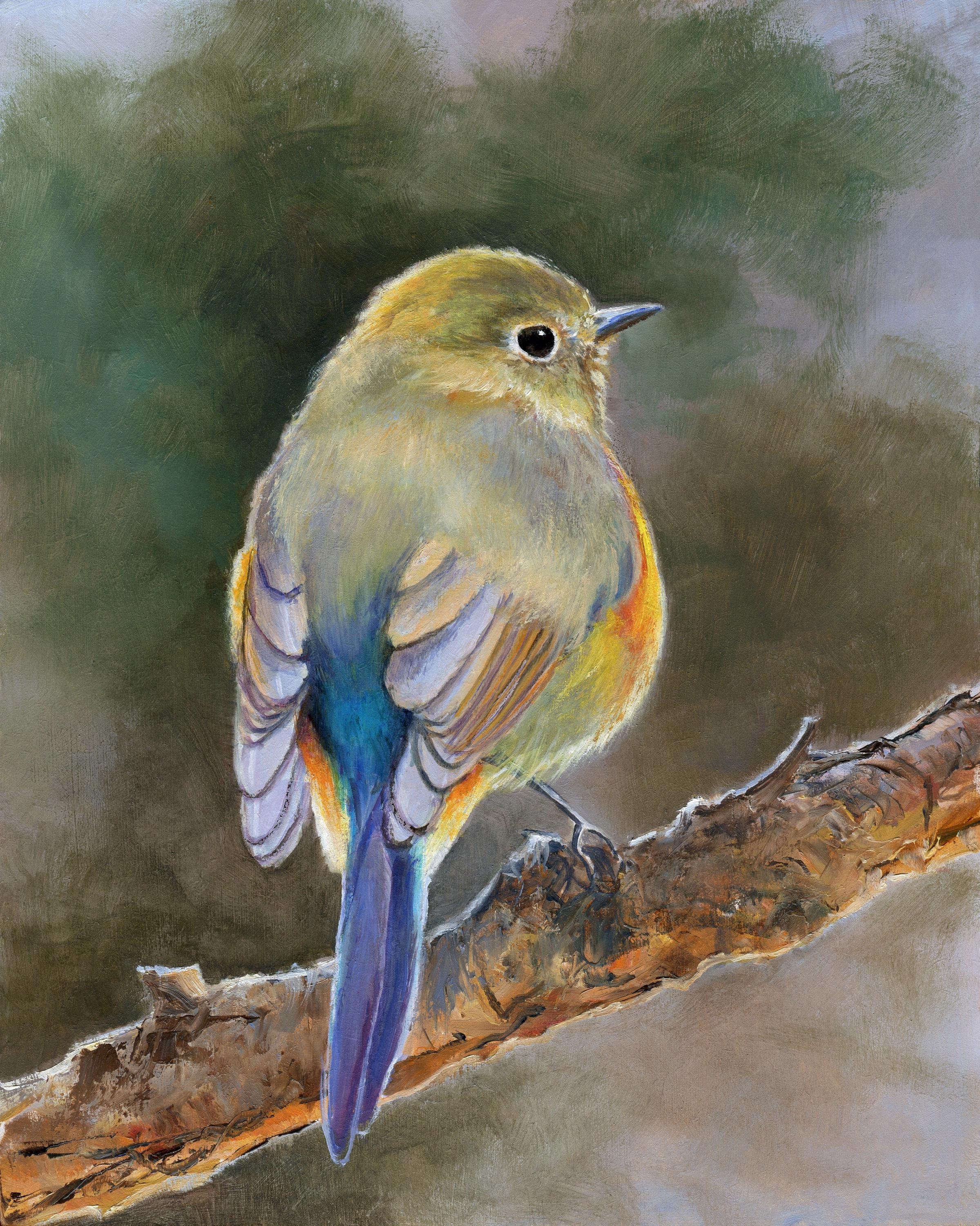鳥のオリジナル絵画（額装済み）、かわいい鳥のリアルなアート