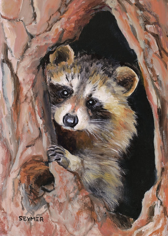 かわいいアライグマの油絵、森のアライグマのオリジナルアート、額入り