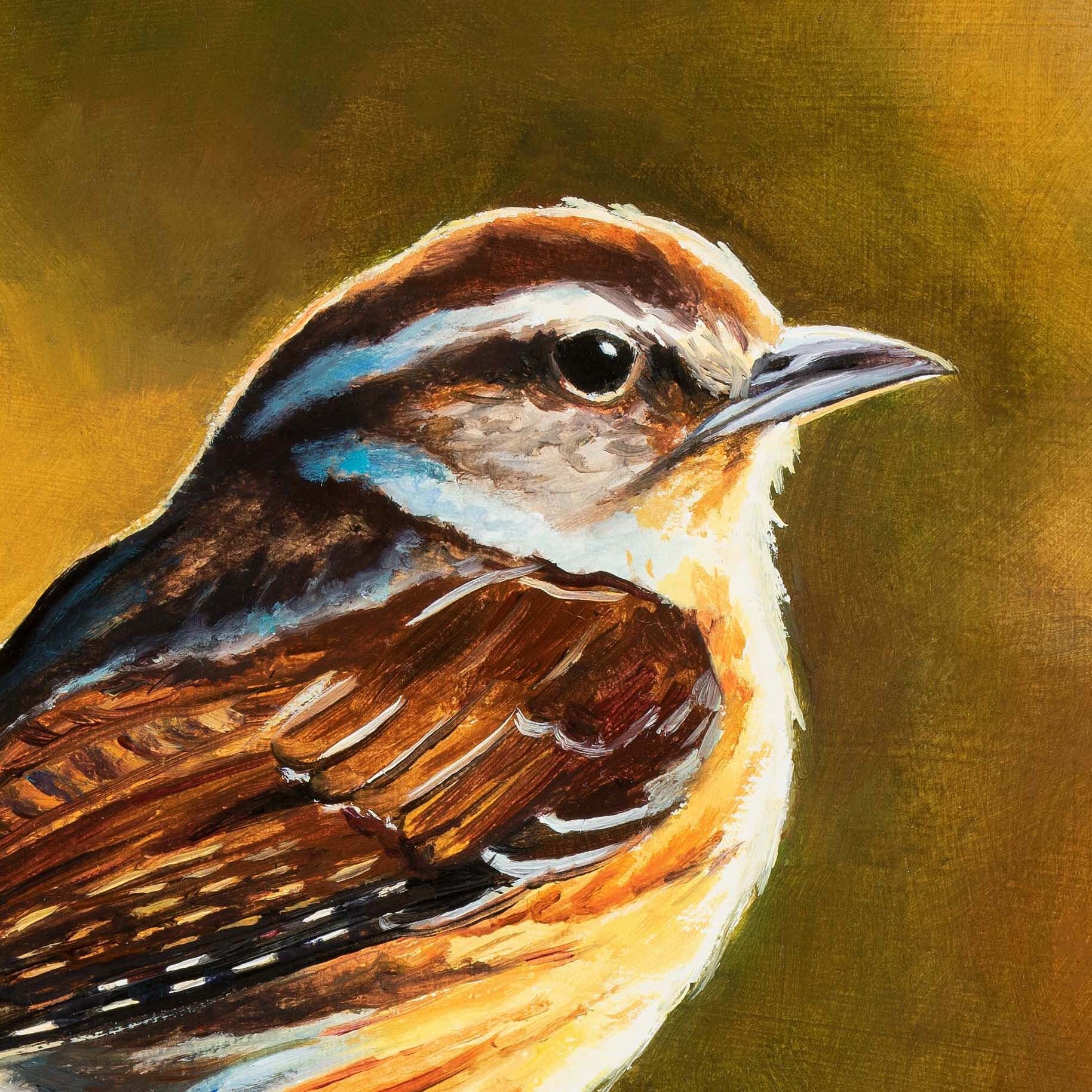 Vintage Vogelnest Ölgemälde, 30,5x40,6 Cm Gerahmt – Frühlings-Kolibri Wandbild Für Wohnzimmer, Büro Oder Gäste-WC