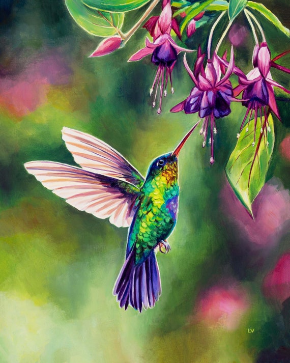 フランクリン・ミント 「ハチドリと花」　ハミングバード＆フラワーズ　6点セット Fuchsia flowers and hummingbird oil painting, Tropical bird