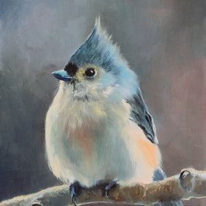 Tufted titmouse oil painting, Framed wildlife painting, Cute little bird art, Biology painting ORIGINAL, Ornithology gift, Bird lover gift