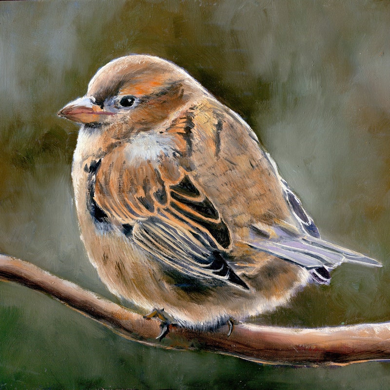 Bird Oil Painting - Etsy