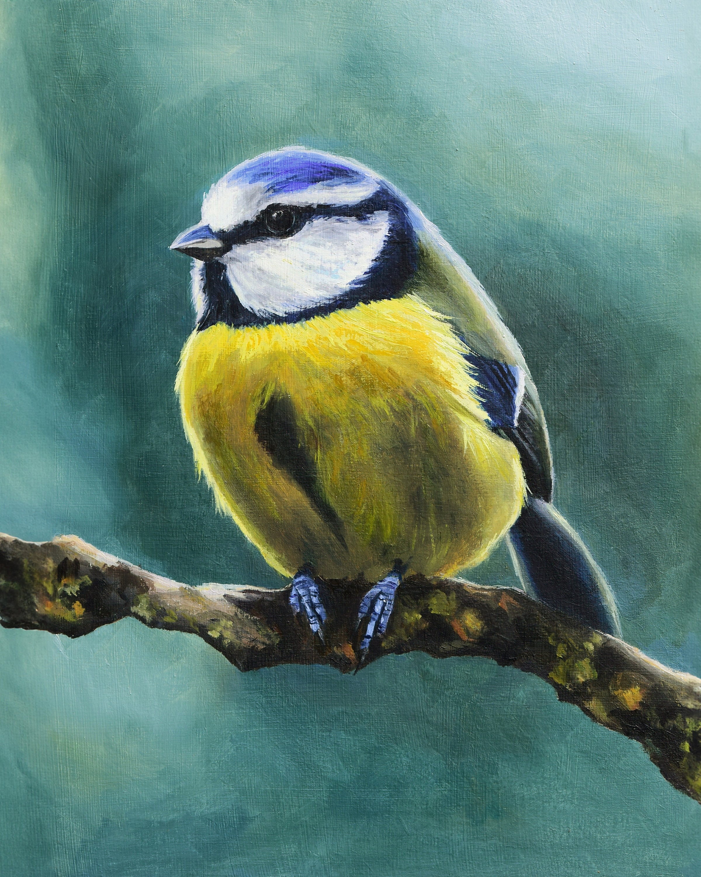 Blue tit ORIGINAL artwork, Tit bird oil painting, Small wildlife
