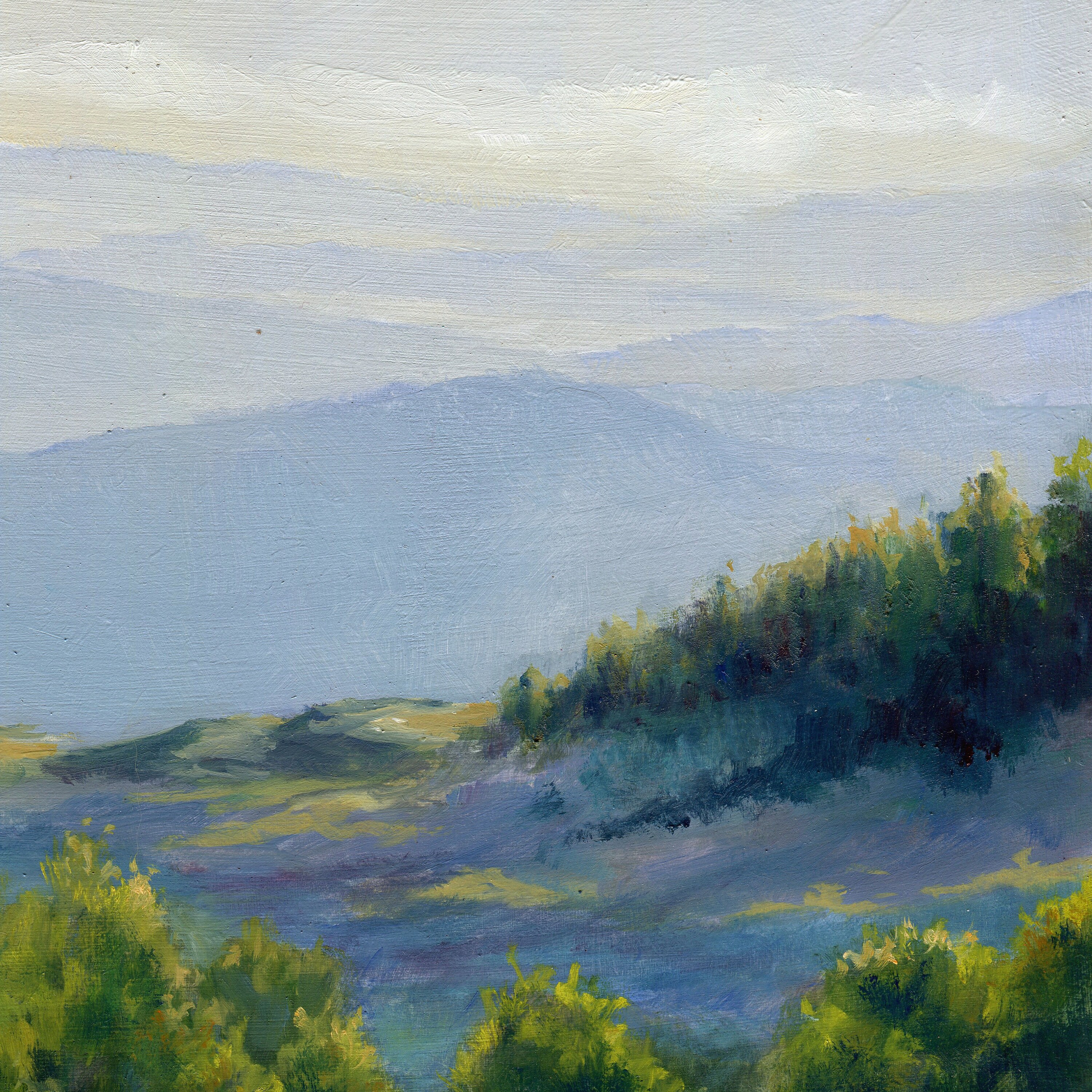 山の風景油絵、夏の花の風景の美術、カロライナ山脈のパノラマ