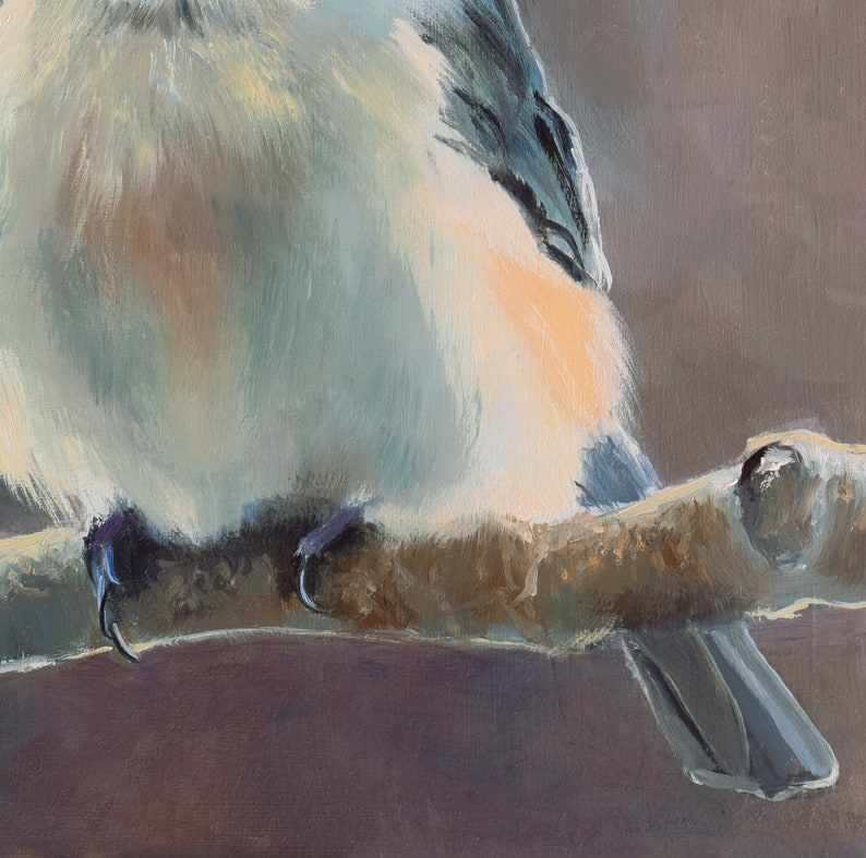 May include: A close-up of a bluebird perched on a branch. The bird's feathers are a soft blue and white, and its beak is open slightly. The branch is brown and textured.