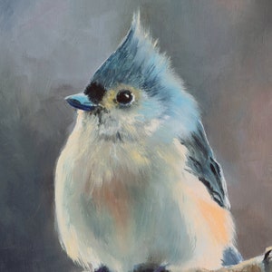 May include: A close-up painting of a small, fluffy blue bird with a white chest and a black eye. The bird is perched on a branch and looking to the left.