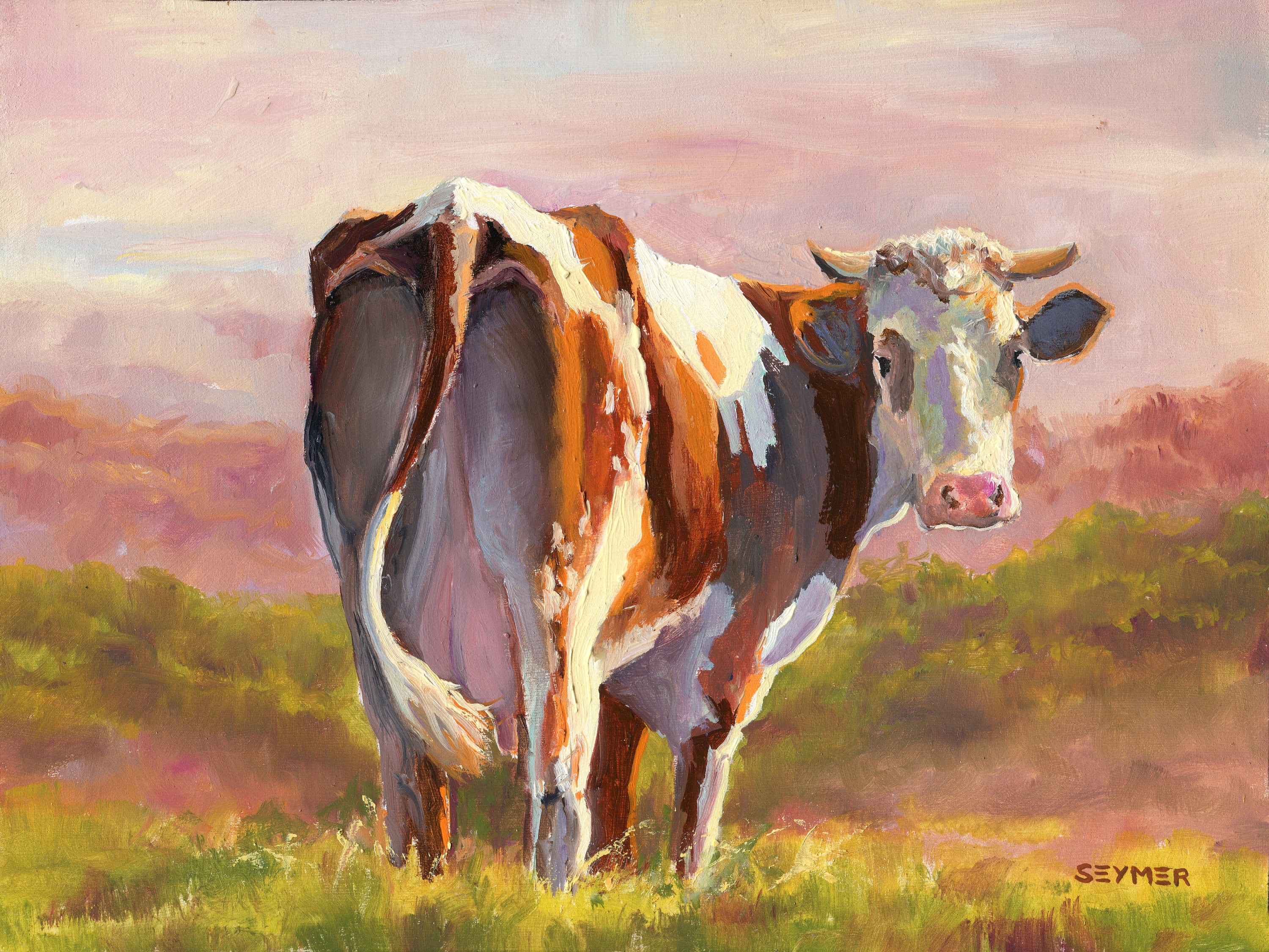 RUR Anneau de nez de vache Anneau de Nez de Taureau en Acier inoxydable