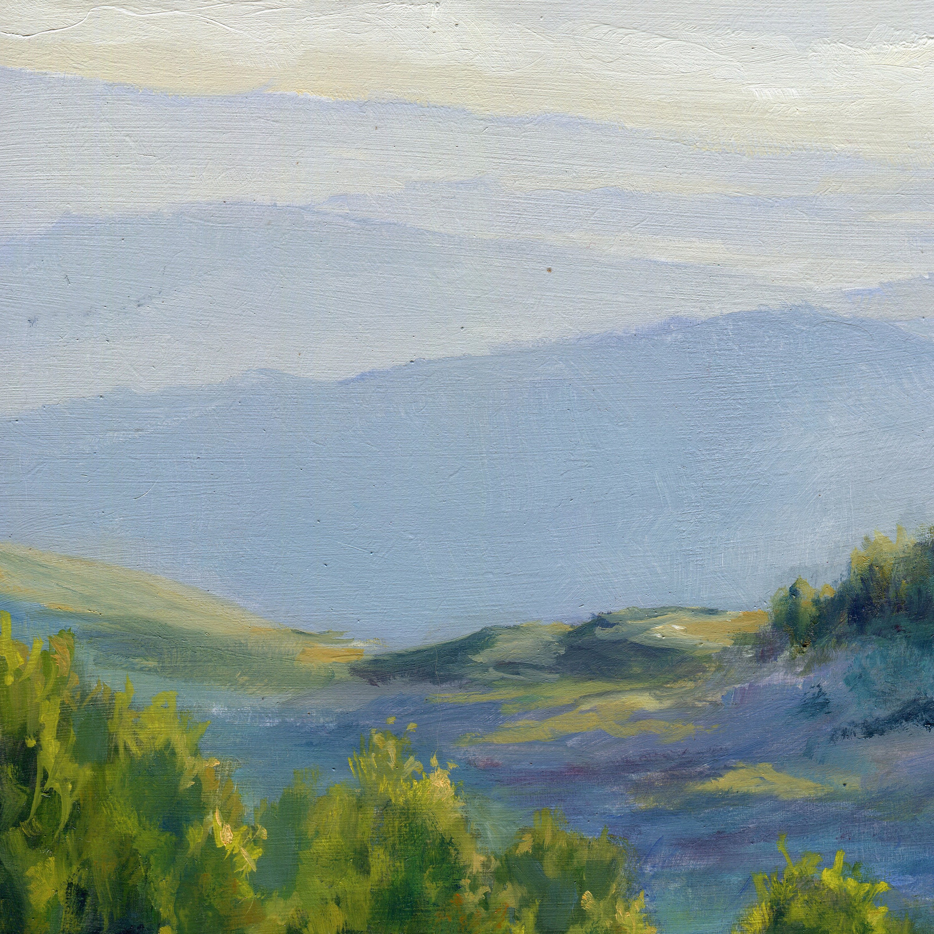 山の風景油絵、夏の花の風景の美術、カロライナ山脈のパノラマ 山の風景油絵、夏の花の風景の美術、カロライナ山脈のパノラマ
