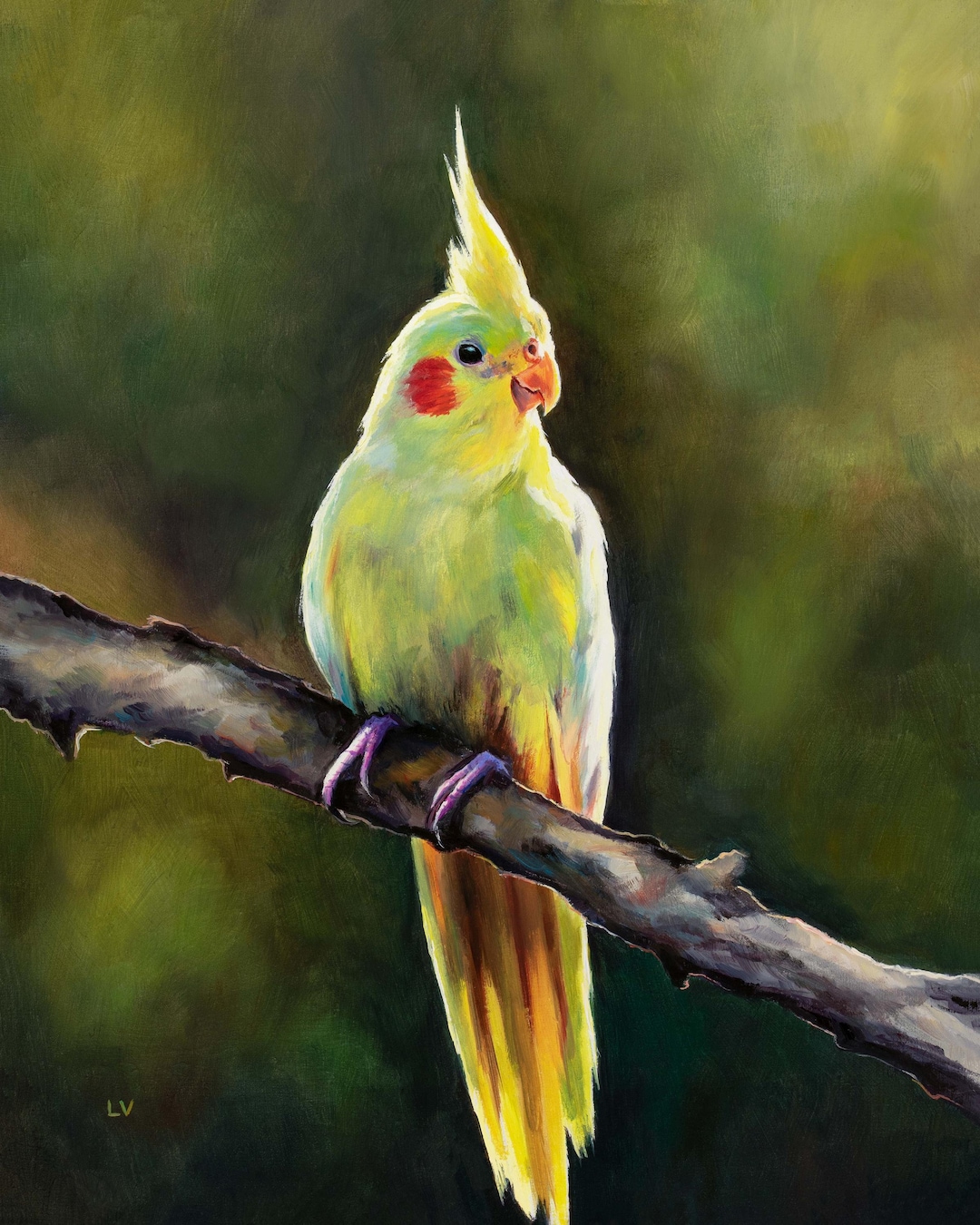 Cockatiel oil painting ORIGINAL, Realistic jungle bird artwork