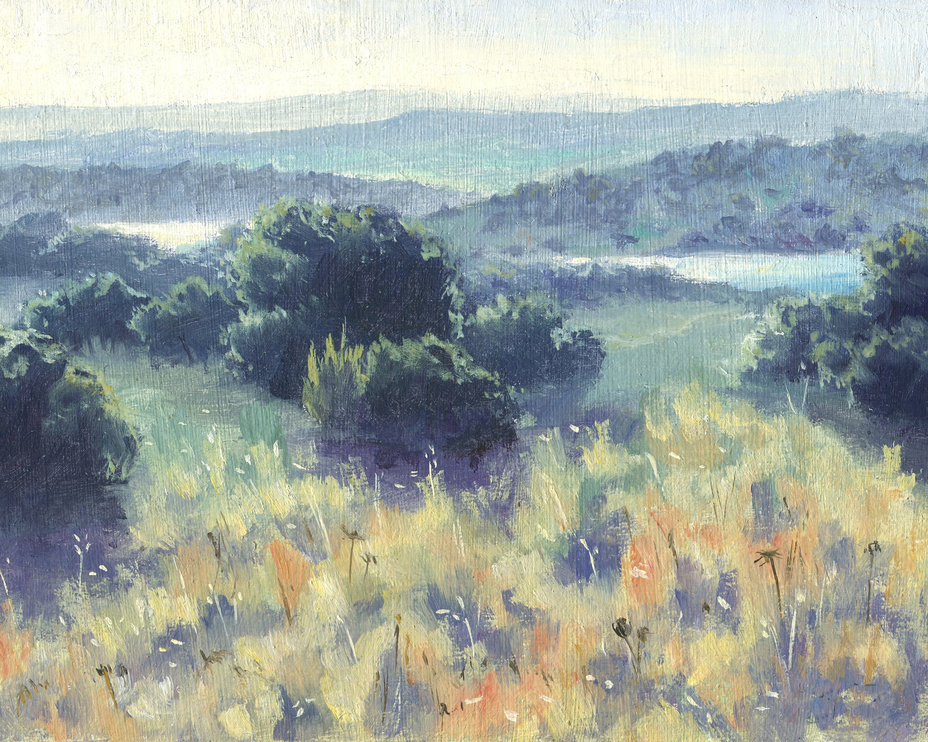 Vintage Landscape Original Painting, Wildflower Valley Lake, Sunny