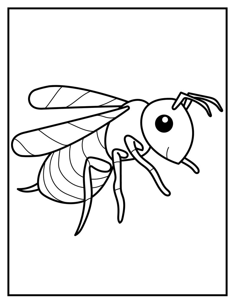 50 Drawing Pages for Kids Etsy