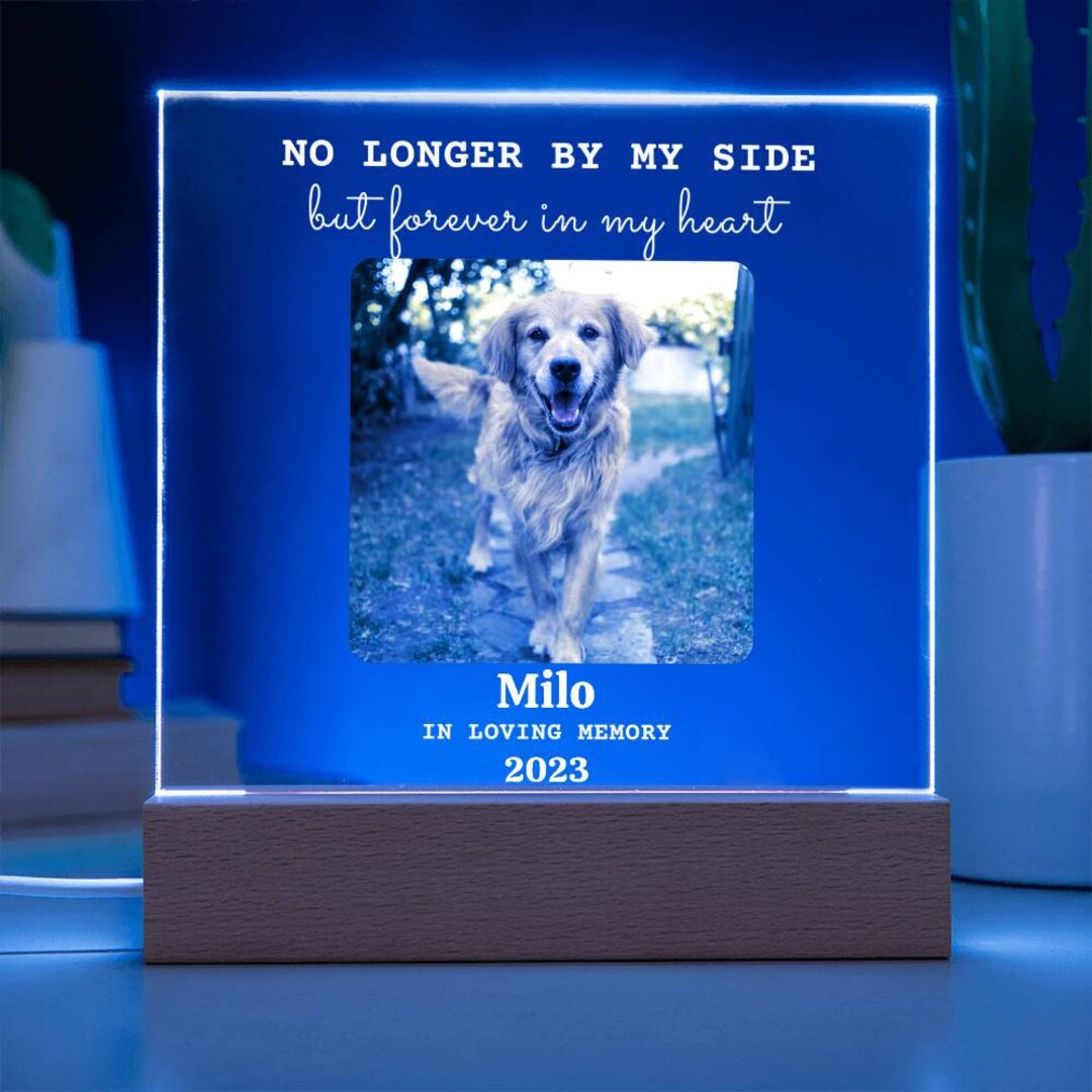 Pet Memorial Plaque Dog Loss Cat Sympathy Gift Night Light Etsy