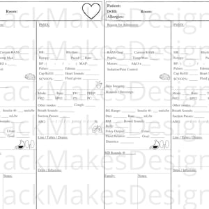 2 Patient ICU Report Sheet (Landscape)
