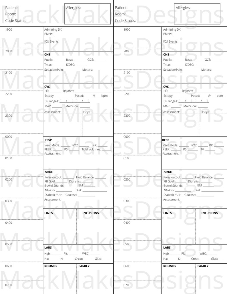 2 Patient ICU Shift Report and Hourly Planning Sheet Etsy
