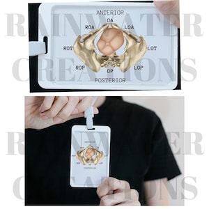 PDF Foetusbadge Buddy, arbeid en bevalling, OBGYN, bekkenanatomie, Badge Buddy, pdf, download, Nurse Badge Buddy, verloskundige, doula