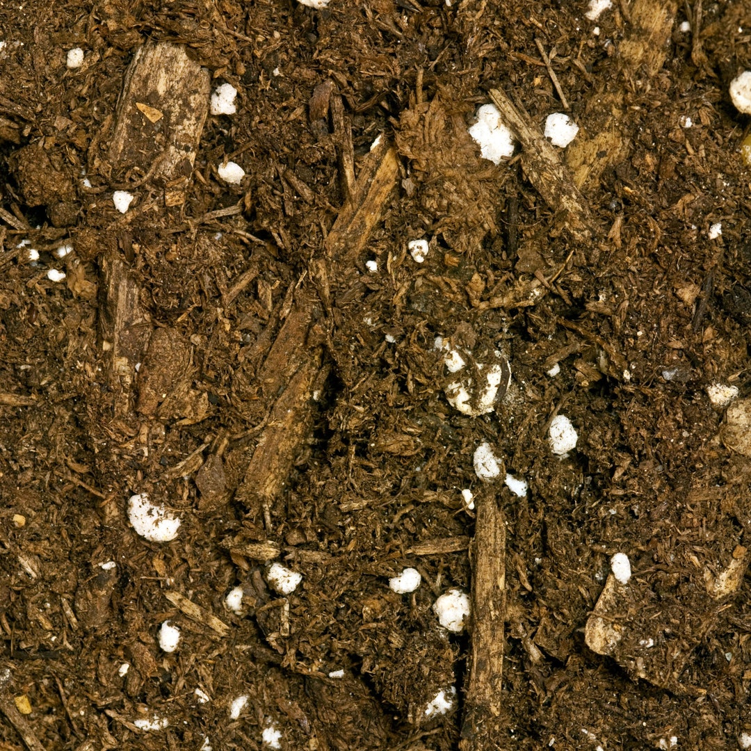 Bromeliad Potting Mix Etsy