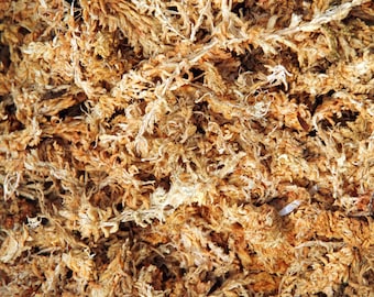 Sphagnum Moss