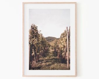 Vineyard Watercolor Print | French Vineyard Photo Printable | Rustic Farmhouse Prints | Urban Farmhouse Arts