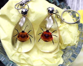 本物のカブトムシ樹脂製キーホルダー昆虫ペンダントタイ緑色スカラベの