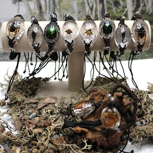 May include: A collection of oval-shaped resin bracelets, each containing a preserved insect. The bracelets are displayed on a beige stand, with black cord and bead accents. A pendant with a similar insect design is also shown.