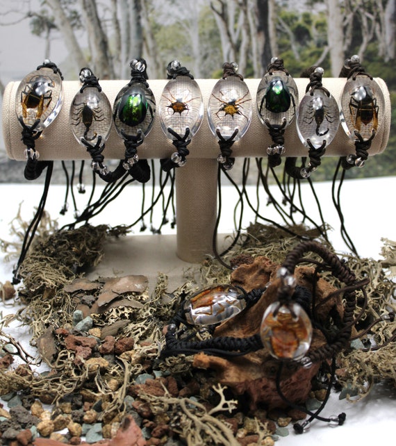 Insect Resin Bracelet: Scorpion, Hornet, Beetle, Spider Macrame Cord